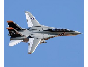 Freewing F-14 Tomcat Twin 64mm EDF Jet PNP Version